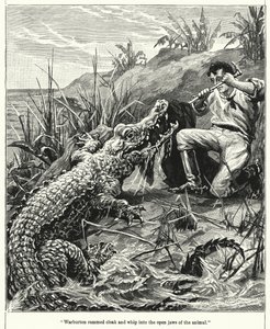 Warburton rammed cloak and whip into the open jaws of the animal by after Stanley Berkeley